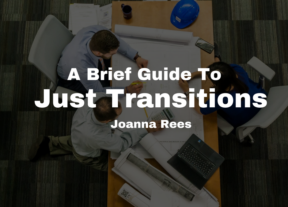 Joanna Rees—Just Transitions